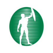 Logo de sinalsegpiracicaba.com.br